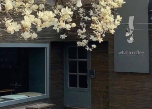 朋友圈的吸睛文案