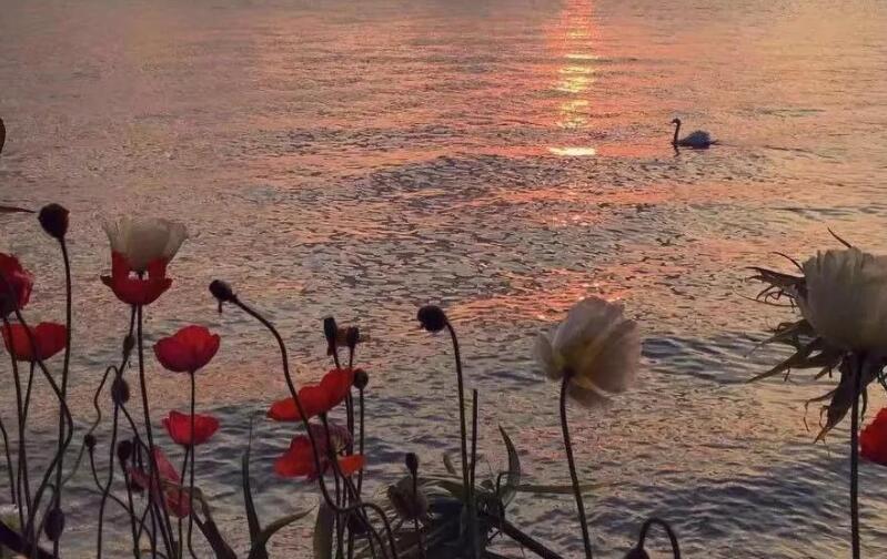 陪伴治愈的文案