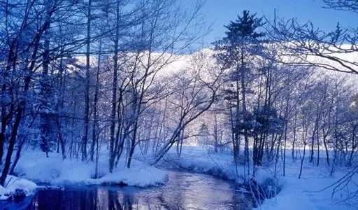 关于雪景的文案