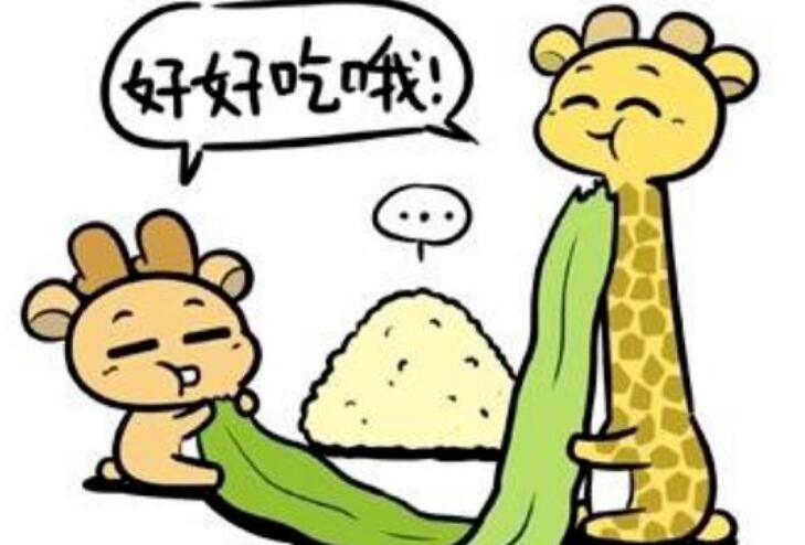 保险端午节文案