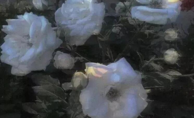 抖音关于和朋友旅行的文案