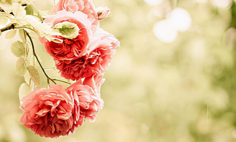 朋友圈激励文案