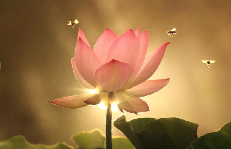 比较温馨的文案