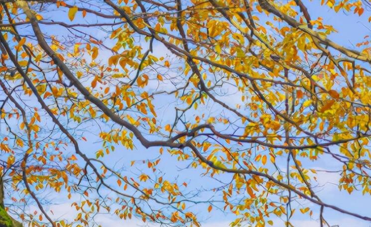 风景图伤感文案