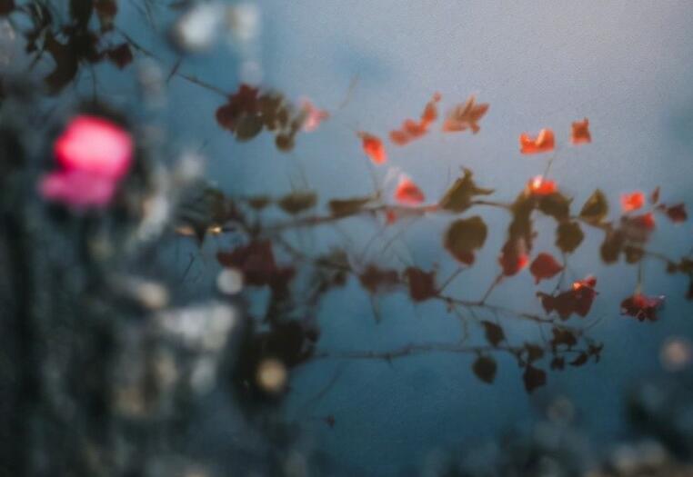 分享歌曲的朋友圈文案