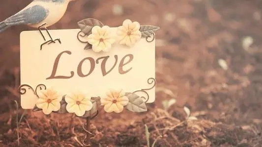 吸引人的婚恋文案