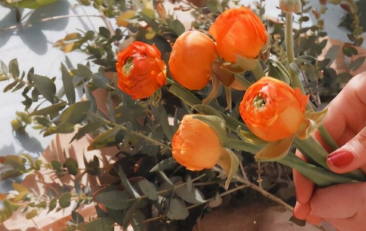 风景图伤感文案