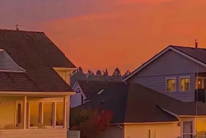 陪伴治愈的文案