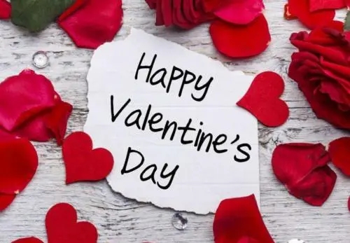 玫瑰花推广文案