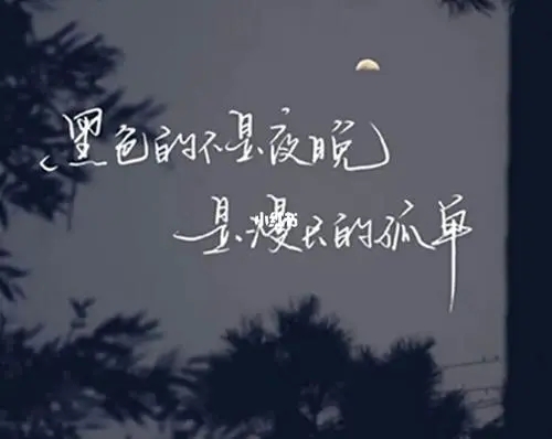 今日份努力的文案