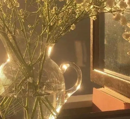 优美文案摘抄200字