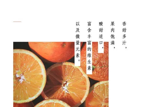 橙心优选宣传文案