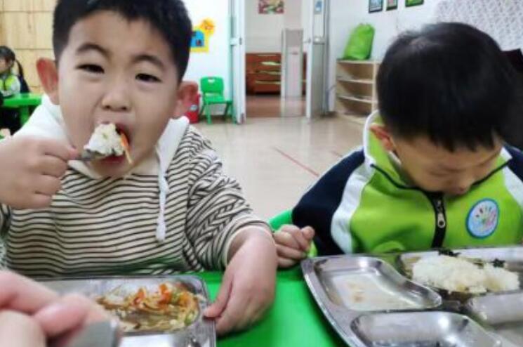 幼儿园营养餐文案