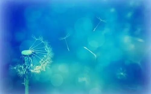 qq请勿打扰的自动回复的文案