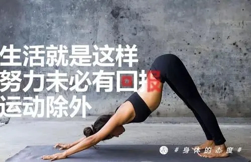 健身练背的文案