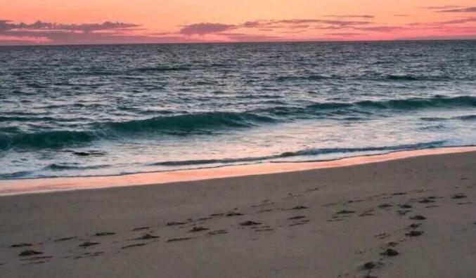 喜欢一个人的温柔文案