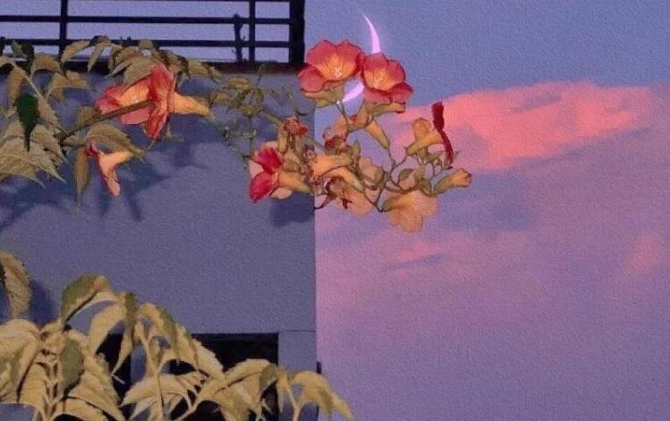 情感文案短句英文