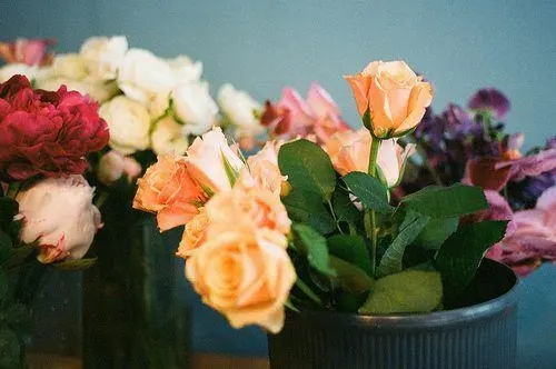 2022文案温柔超仙短句治愈系