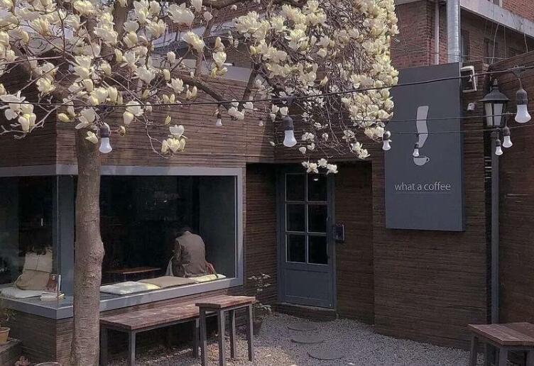 能写进作文里的神仙文案