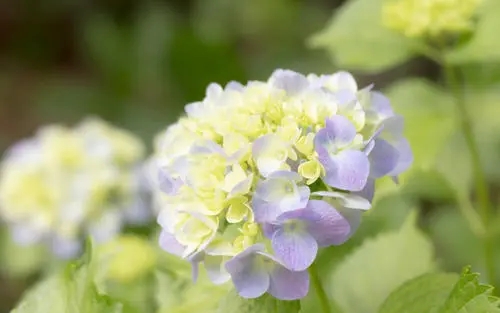 读书会海报文案