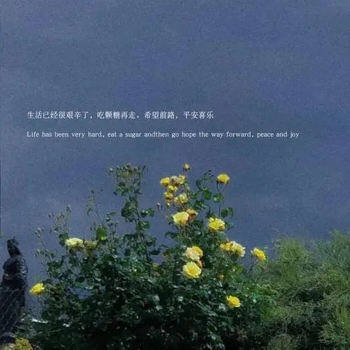 平静温柔的文案