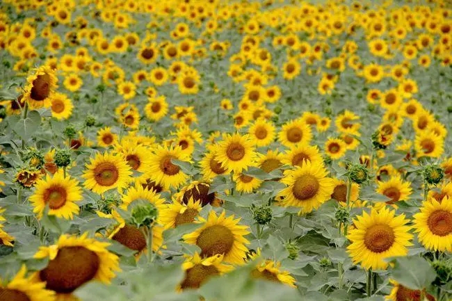 心情不好励志的文案