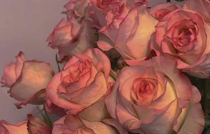 超级温柔的情话文案长篇