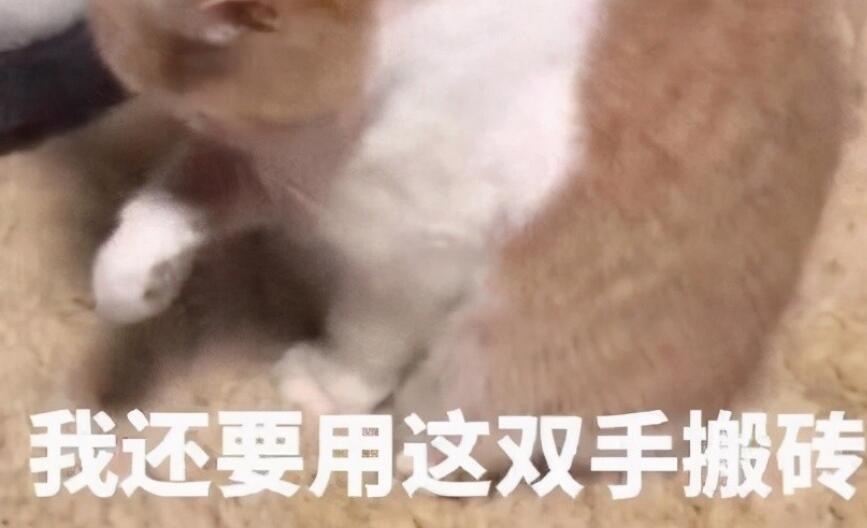 五一过后的公众文案