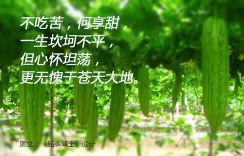 自己种蔬菜的文案