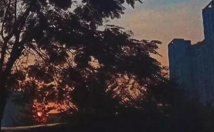 没有手机的文案