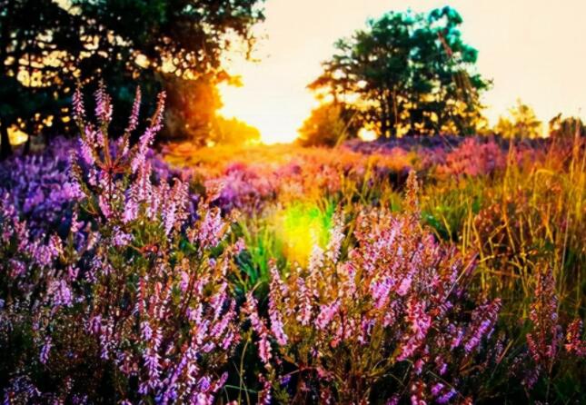 一个人难受的文案