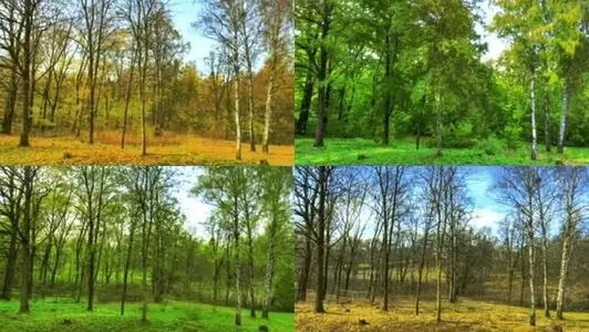 描写四季变化的文案