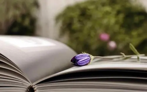 发抖音好的文案正能量