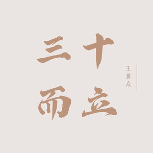 三十岁而立之年文案