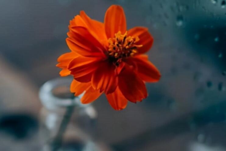 激励员工的文案创意