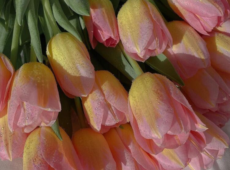 好久不见的文案短句