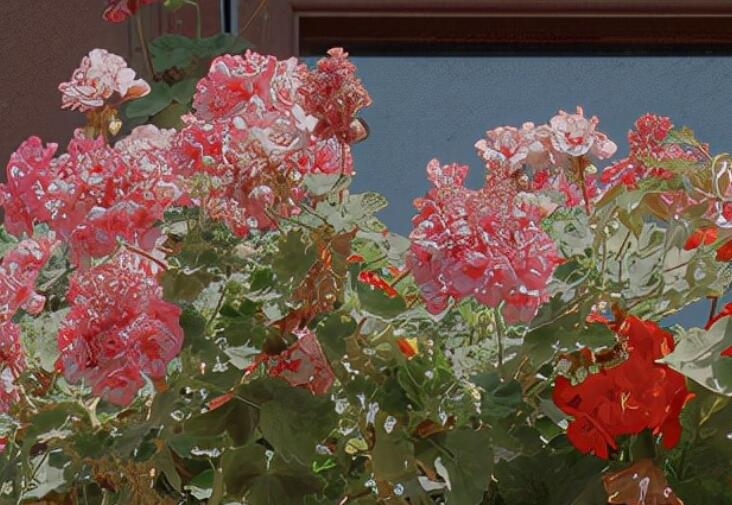 关于平等的文案