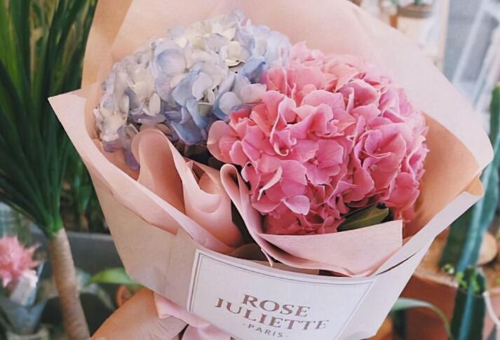 摘抄句子唯美文案