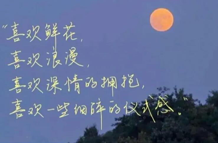 不如就放手文案