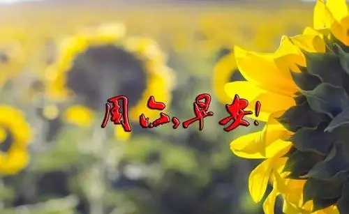 周末愉快文案朋友圈九宫格