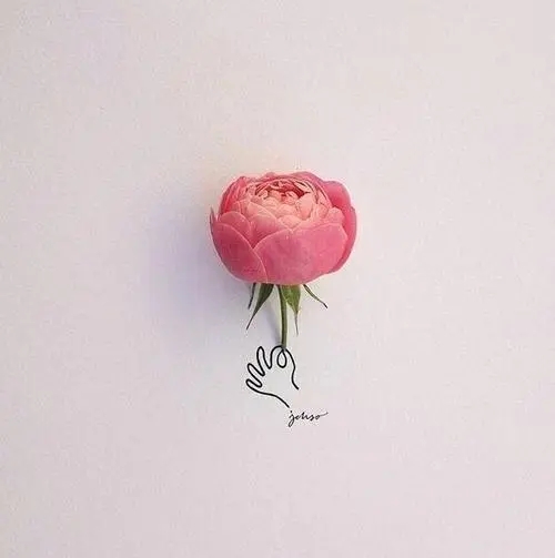 朋友圈点赞中奖的文案