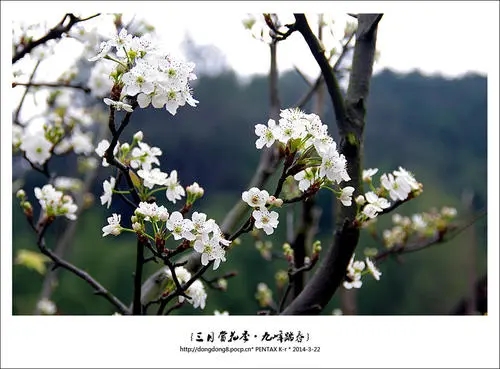 三月踏春朋友圈文案