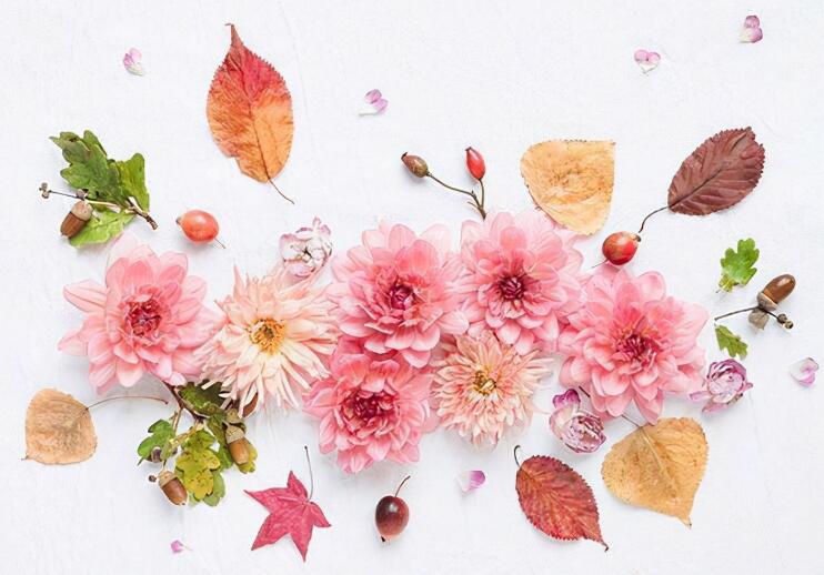 朋友圈早安可爱说说文案