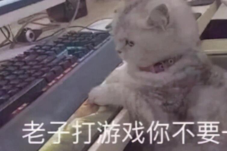 游玩文案朋友圈搞笑