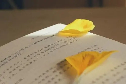 贴近生活触动人心的文案