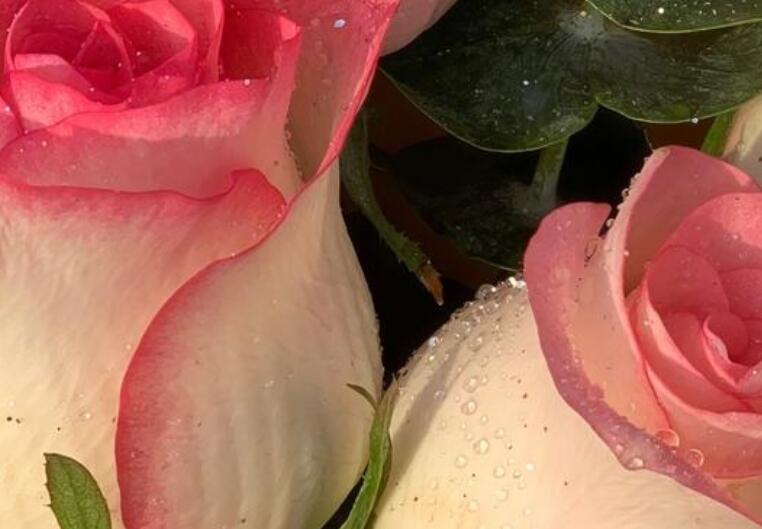 酒吧大众点评文案