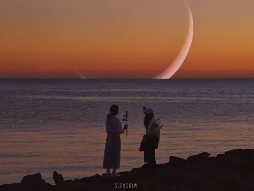 海边看烟花的文案