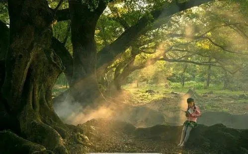 晨读的朋友圈文案