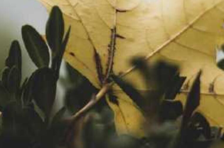 工厂团队活动朋友圈文案