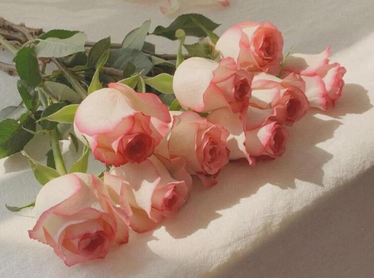 关于阳光的文案短句